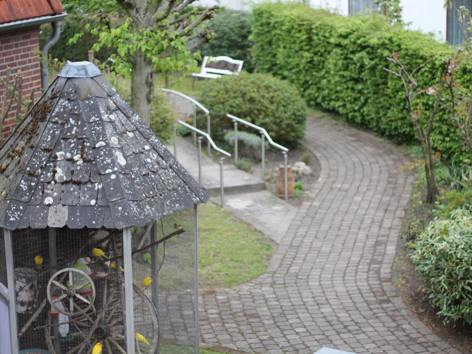 Garten und Vögel im Käfig